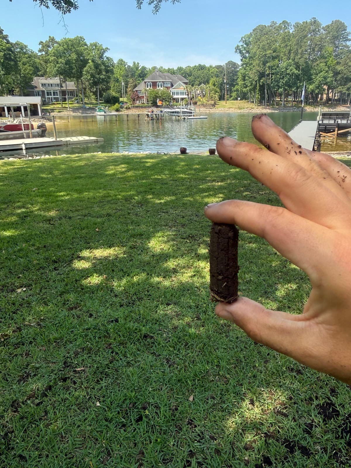 Freshly removed soil core held above a Lexington lawn after aeration