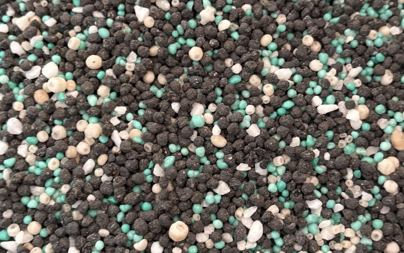 Close-up of granular lawn product, the form pre-emergent is applied in