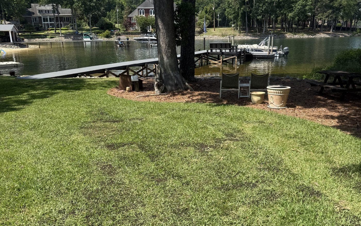 Lakeside Lexington, South Carolina lawn after top dressing